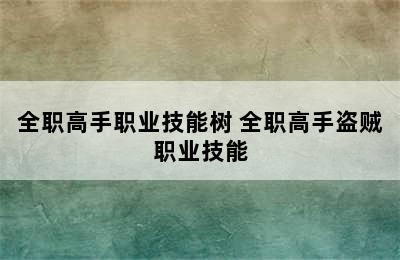 全职高手职业技能树 全职高手盗贼职业技能